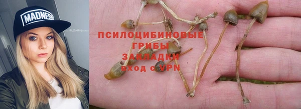 mix Арсеньев
