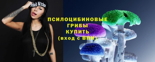 mix Арсеньев