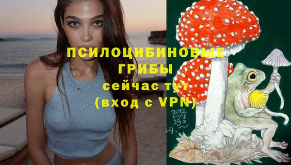 mix Арсеньев