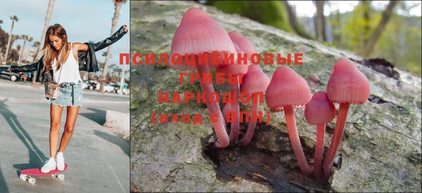 молекула духа Балахна