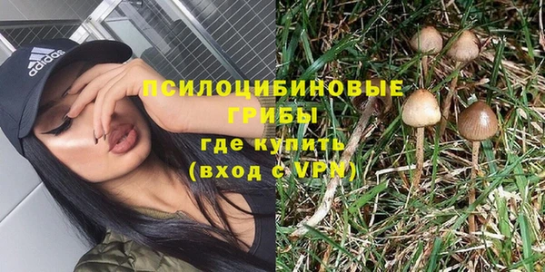 стаф Армянск