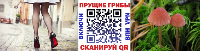 цена наркотик  Таруса  Псилоцибиновые грибы мухоморы 